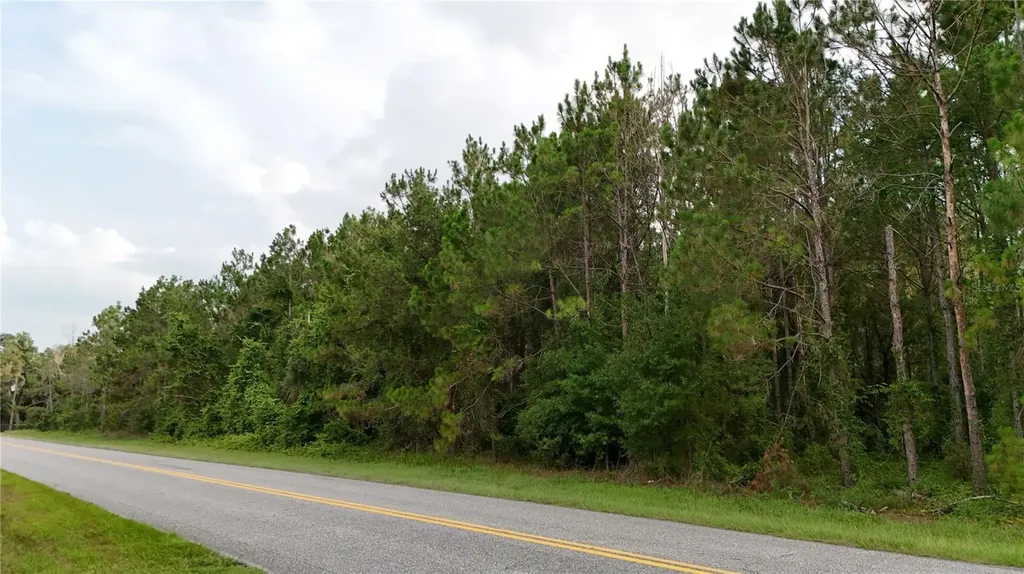 37625 N County Road 44a Eustis FL 32726