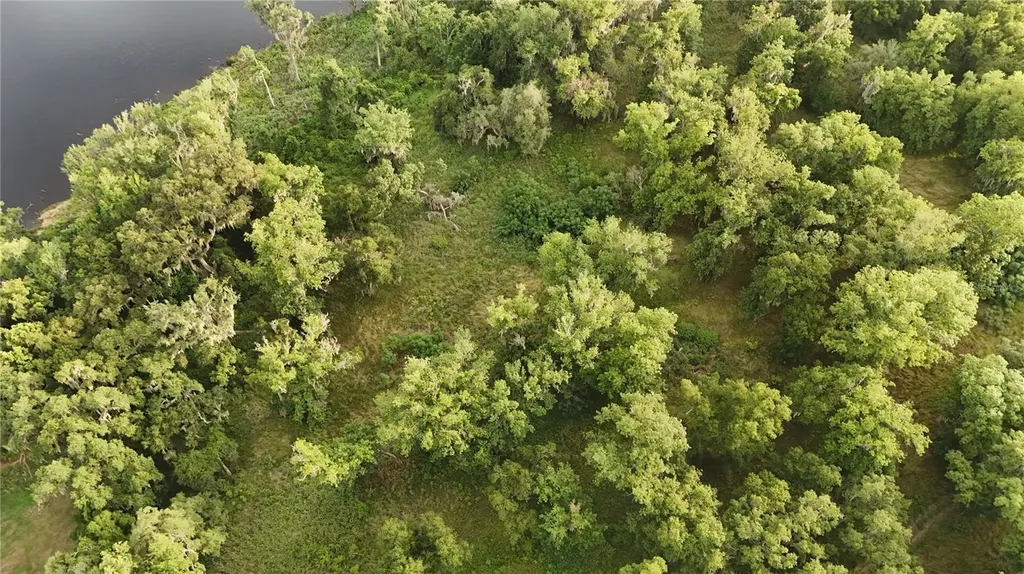 37625 N County Road 44a Eustis FL 32726