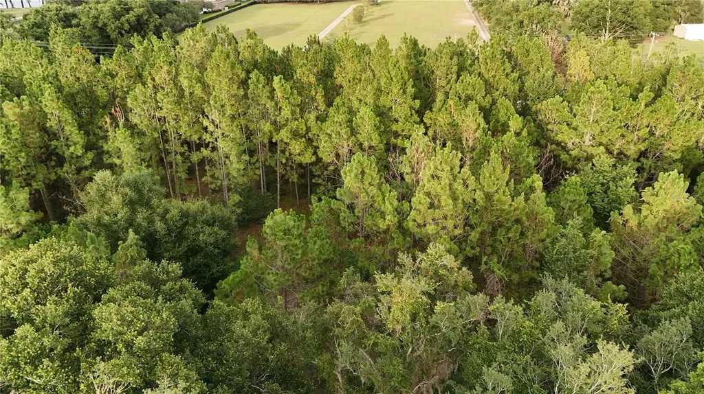37625 N County Road 44a Eustis FL 32726