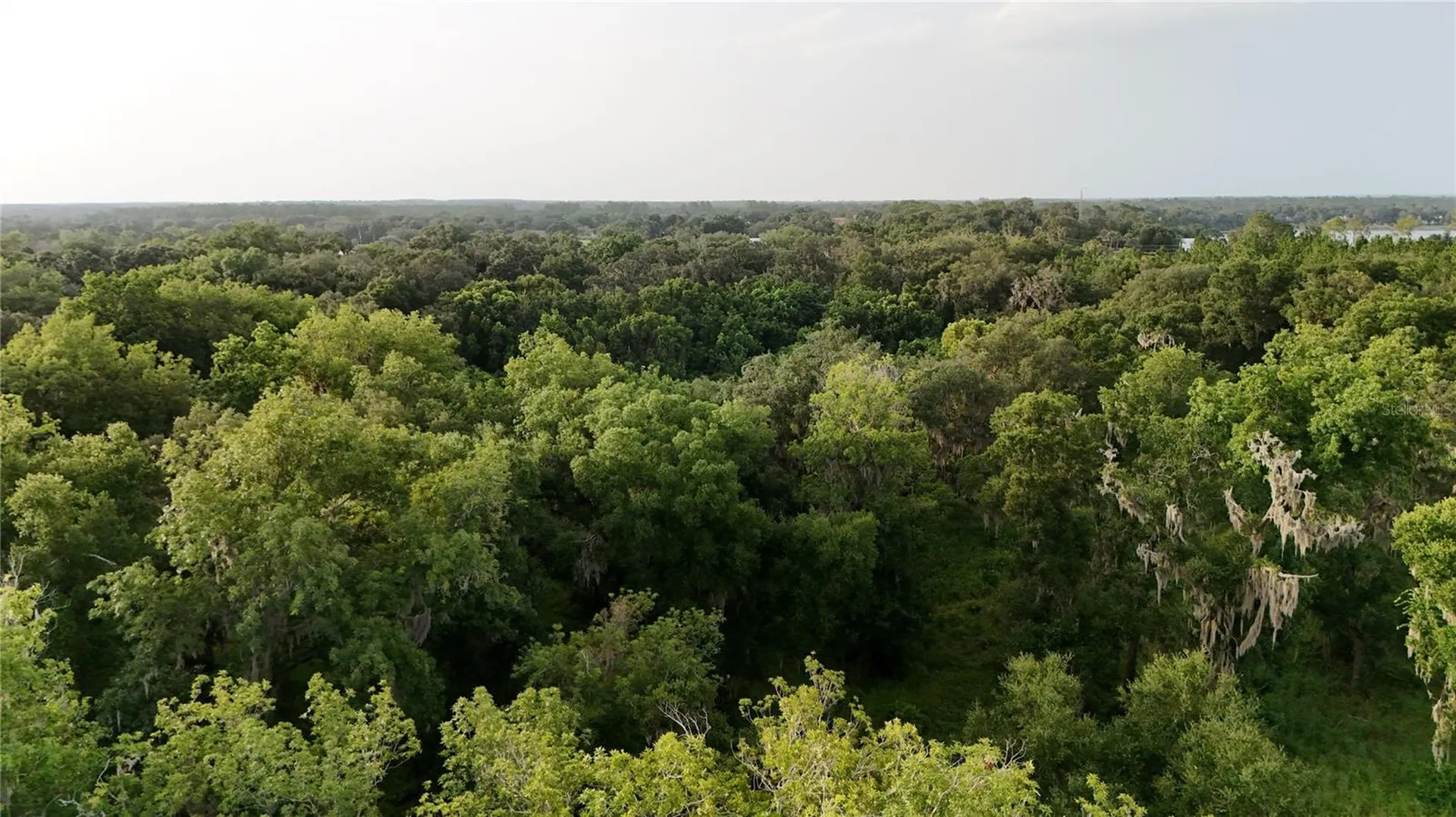 37625 N County Road 44a Eustis FL 32726