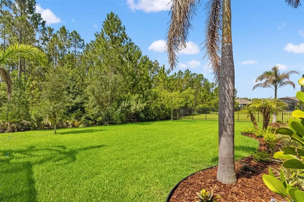 3497 Tour Trace Land O Lakes FL 34638
