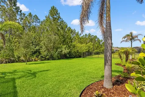 3497 Tour Trace Land O Lakes FL 34638