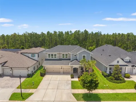 3497 Tour Trace Land O Lakes FL 34638