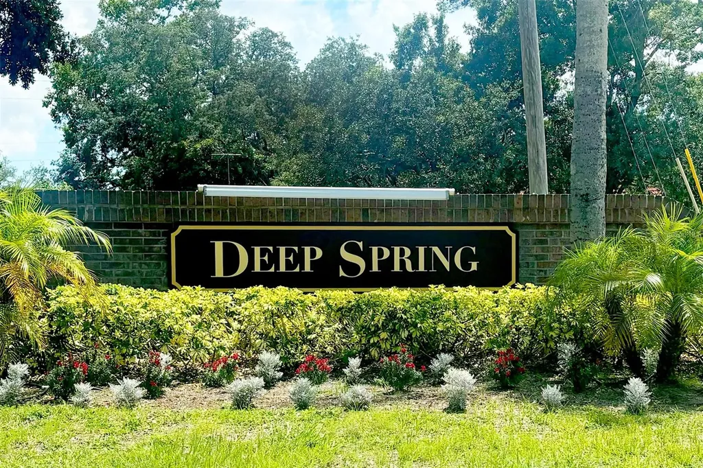 936 Galliton Way Palm Harbor FL 34684