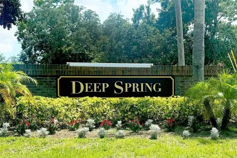 936 Galliton Way Palm Harbor FL 34684