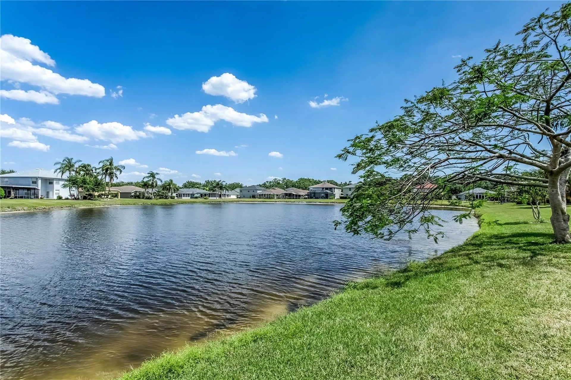 8518 Tidal Bay Lane Tampa FL 33635