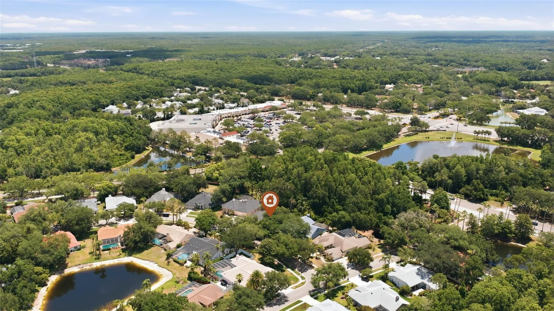 15932 Ellsworth Drive Tampa FL 33647
