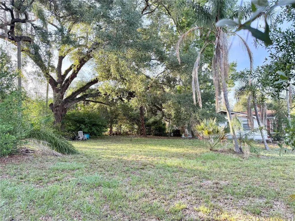 304 Springdale Place Temple Terrace FL 33617