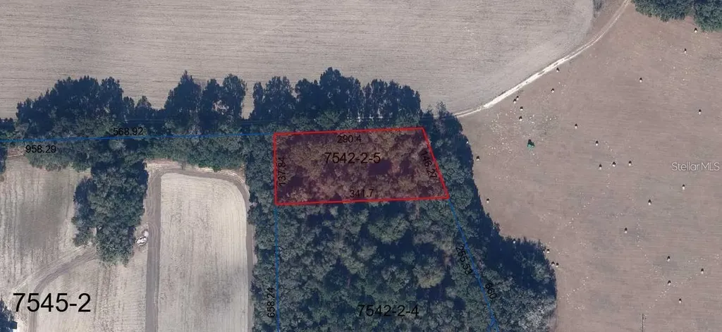St Road 235 Brooker FL 32622