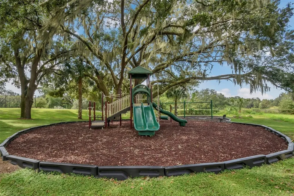 24215 Weldon Drive Eustis FL 32736