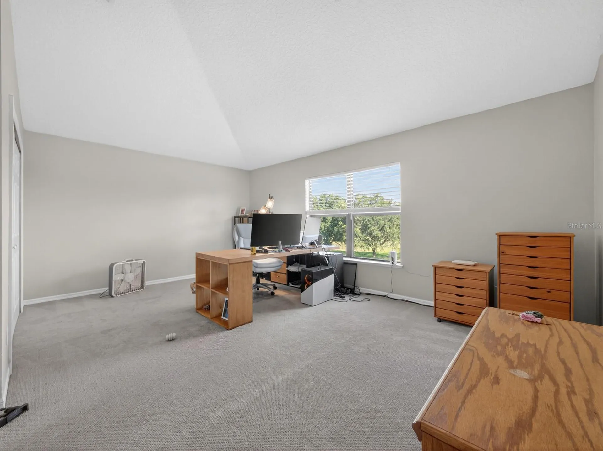 24215 Weldon Drive Eustis FL 32736