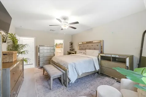 4306 Salt Springs Lane Lakeland FL 33811