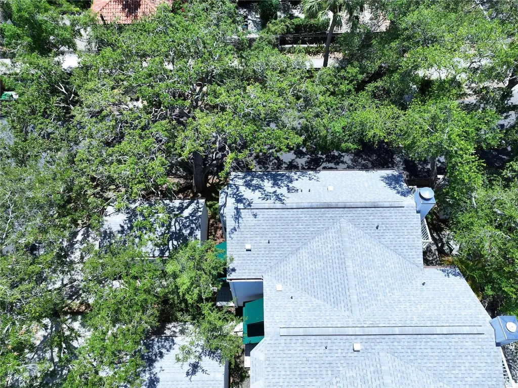 5300 Bayshore Boulevard Tampa FL 33611
