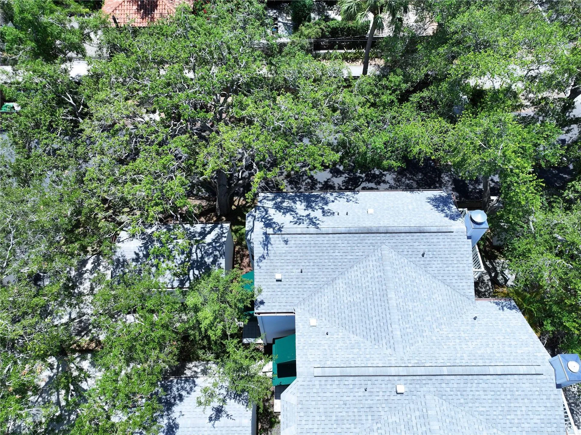 5300 Bayshore Boulevard Tampa FL 33611