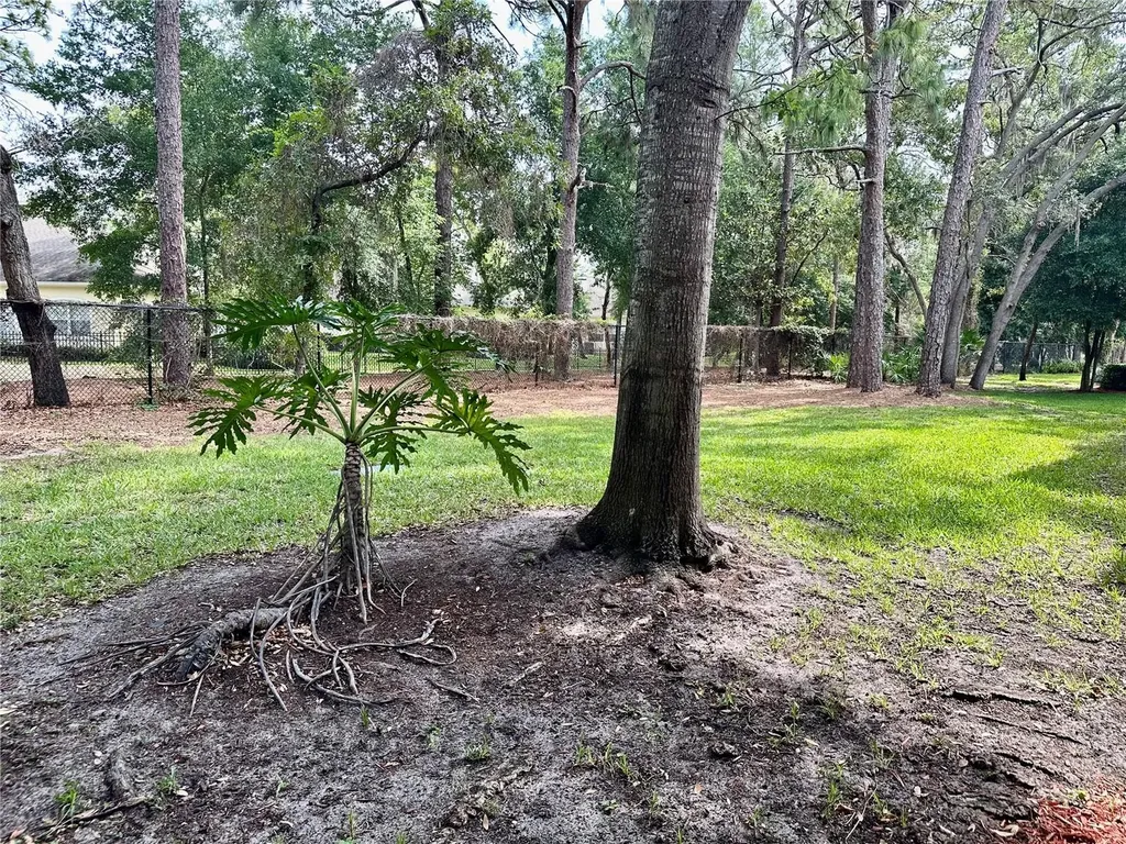 2141 Portofino Place Palm Harbor FL 34683
