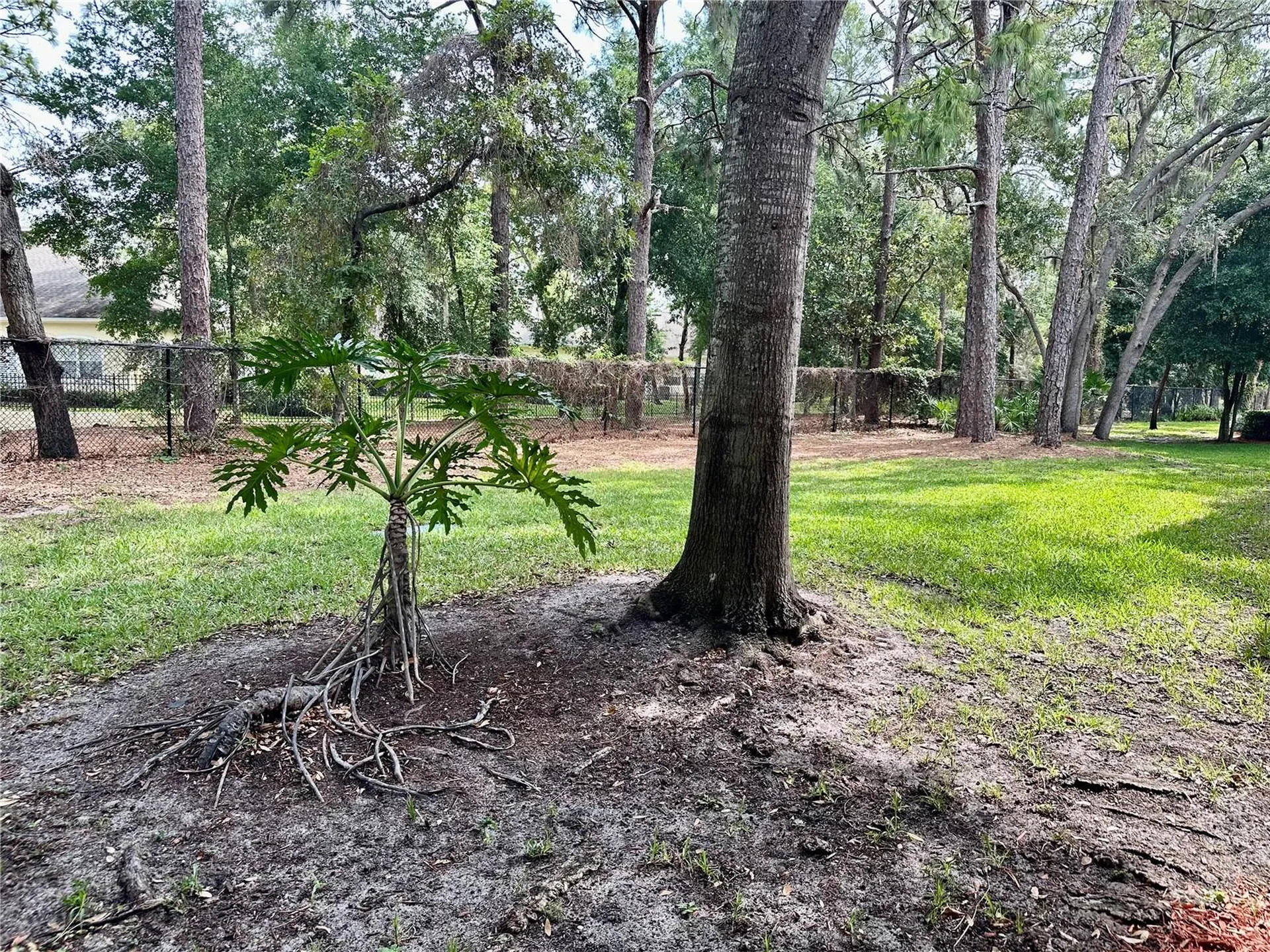 2141 Portofino Place Palm Harbor FL 34683