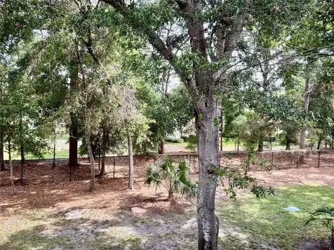 2141 Portofino Place Palm Harbor FL 34683