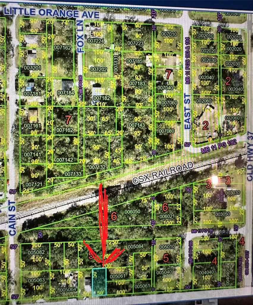 0 Cain Street Mulberry FL 33860