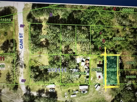 0 Cain Street Mulberry FL 33860