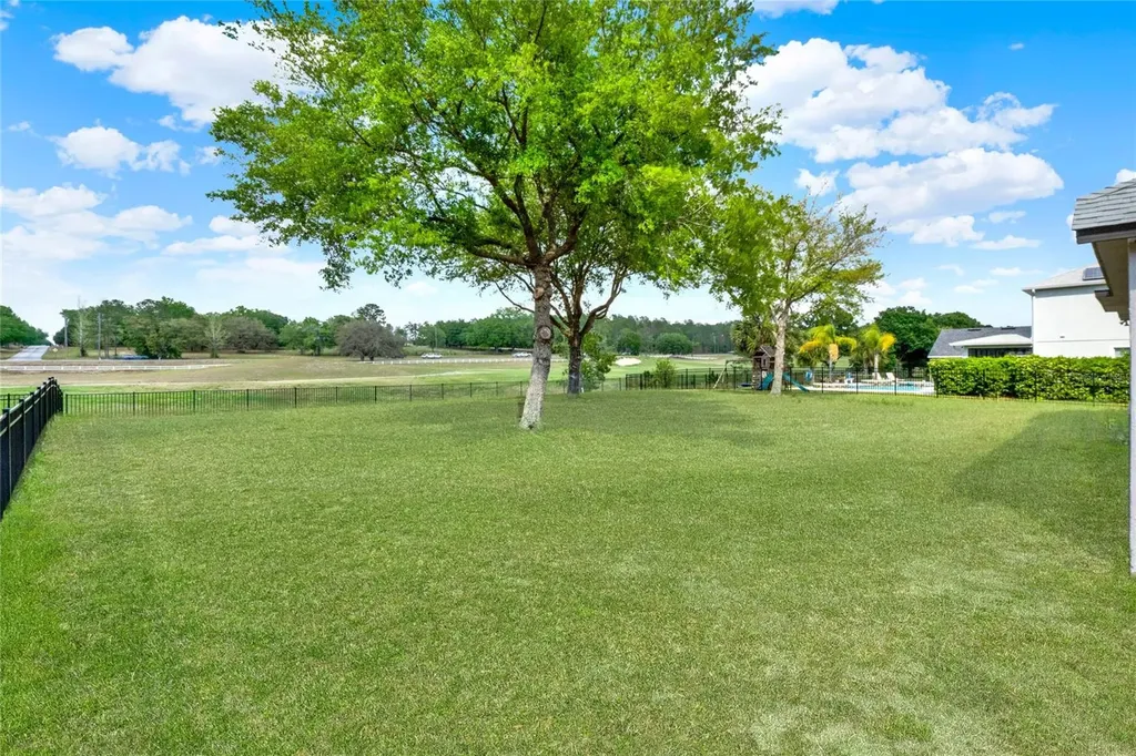 23503 Valderama Lane Sorrento FL 32776