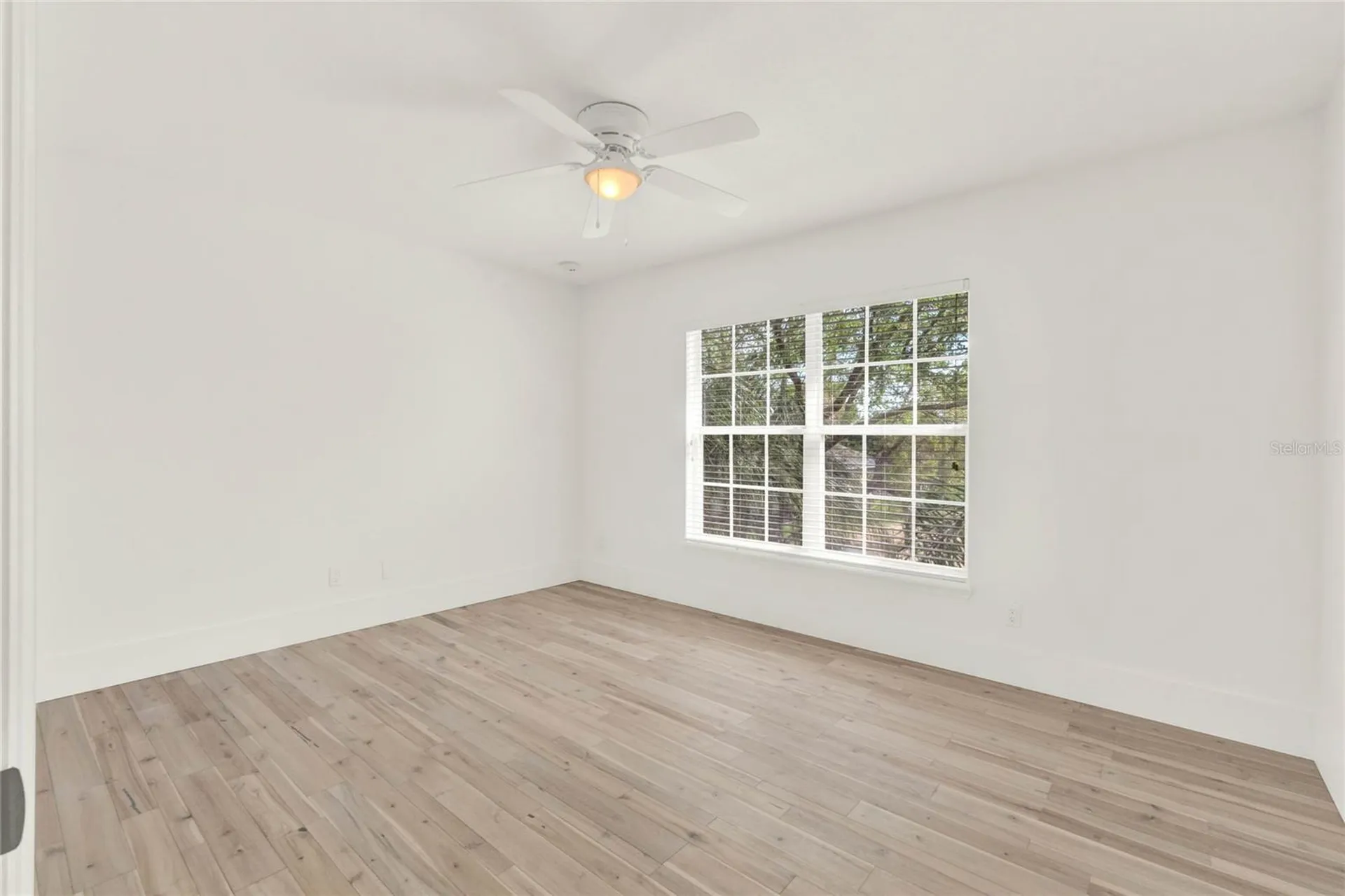 23503 Valderama Lane Sorrento FL 32776