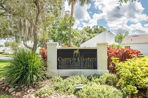 14118 Cypress Run Tampa FL 33618
