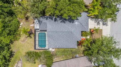 368 Tavernier Circle Oldsmar FL 34677