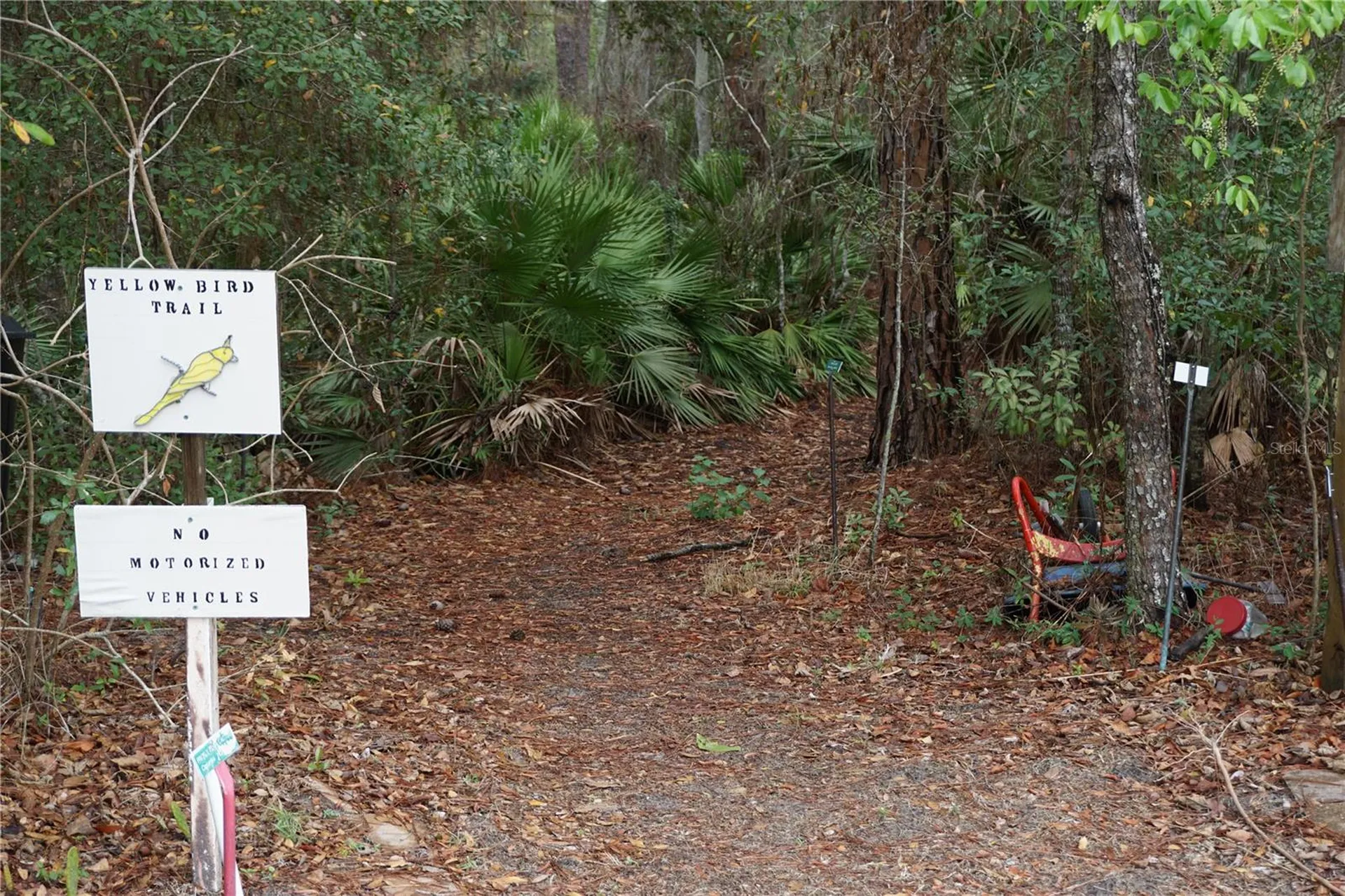 26724 Cash Court Leesburg FL 34748