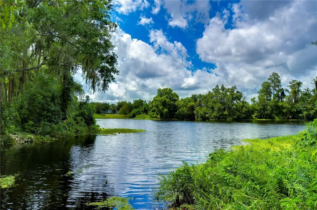 6801 Lockington Court Tampa FL 33625