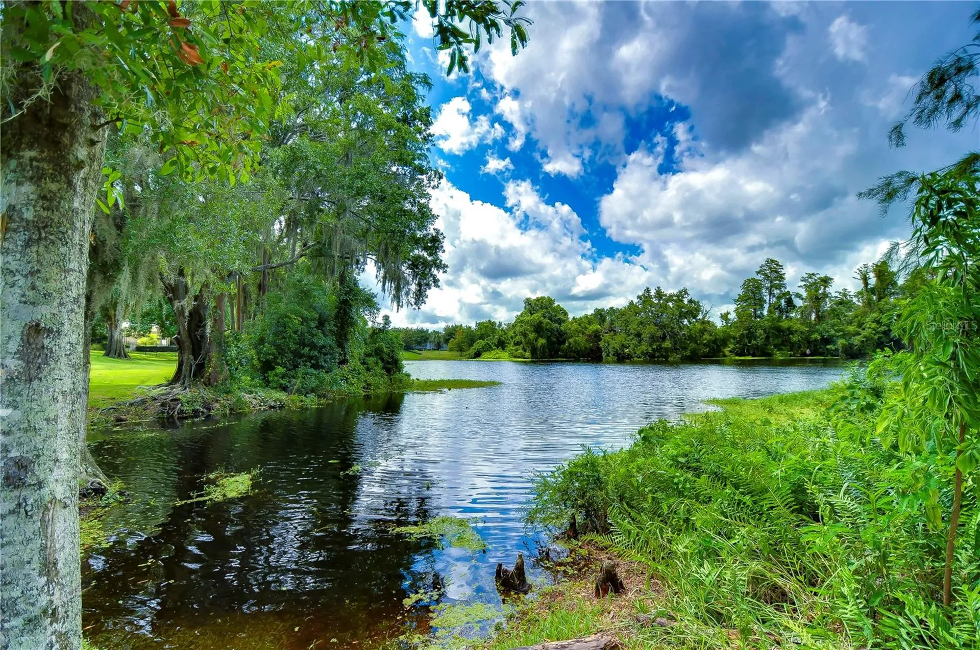 6801 Lockington Court Tampa FL 33625