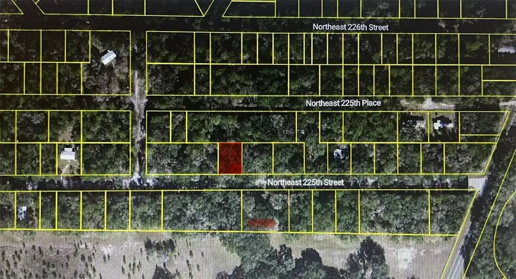 11545 NE NE 225th Street Fort Mc Coy FL 32134