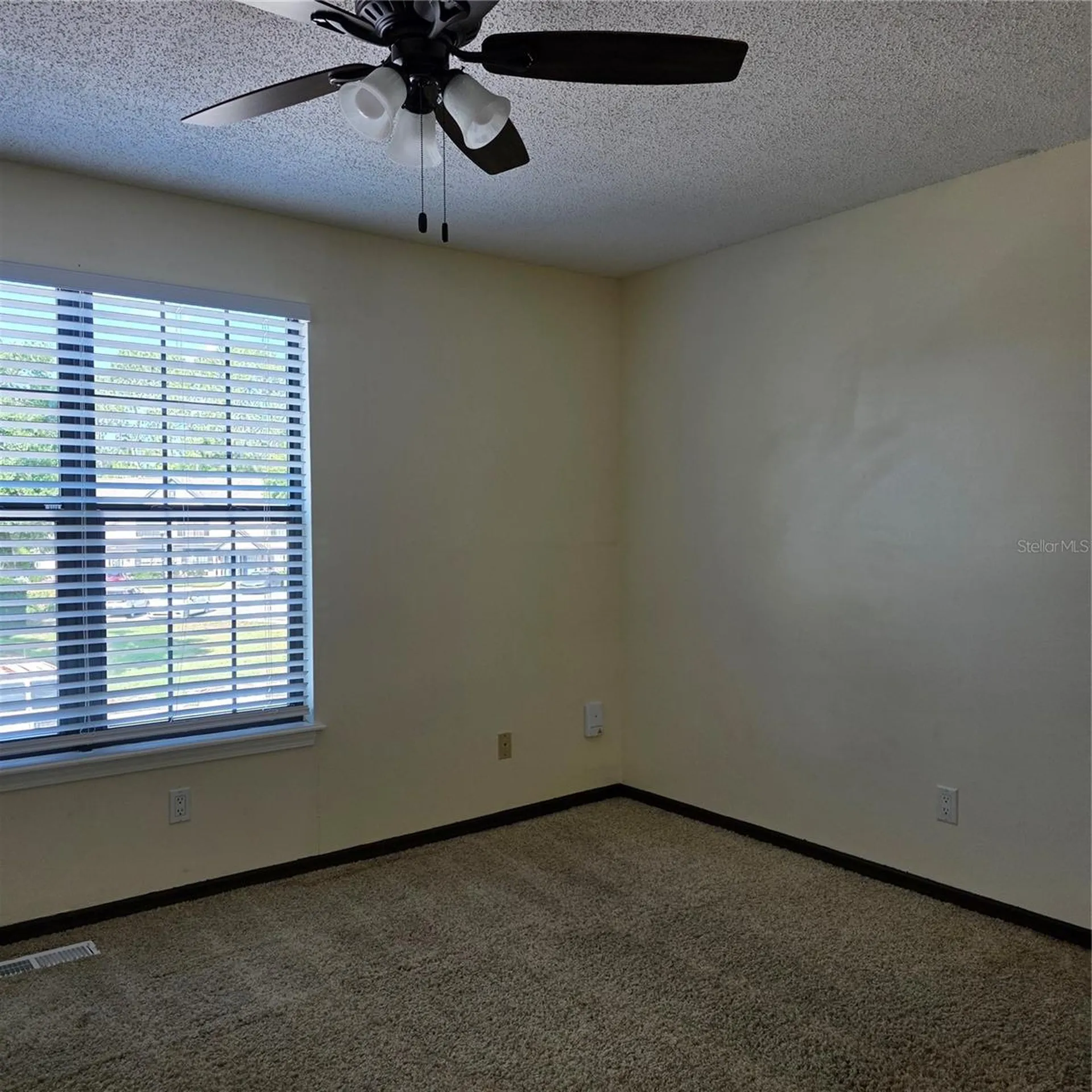 16641 Brigadoon Drive Tampa FL 33618