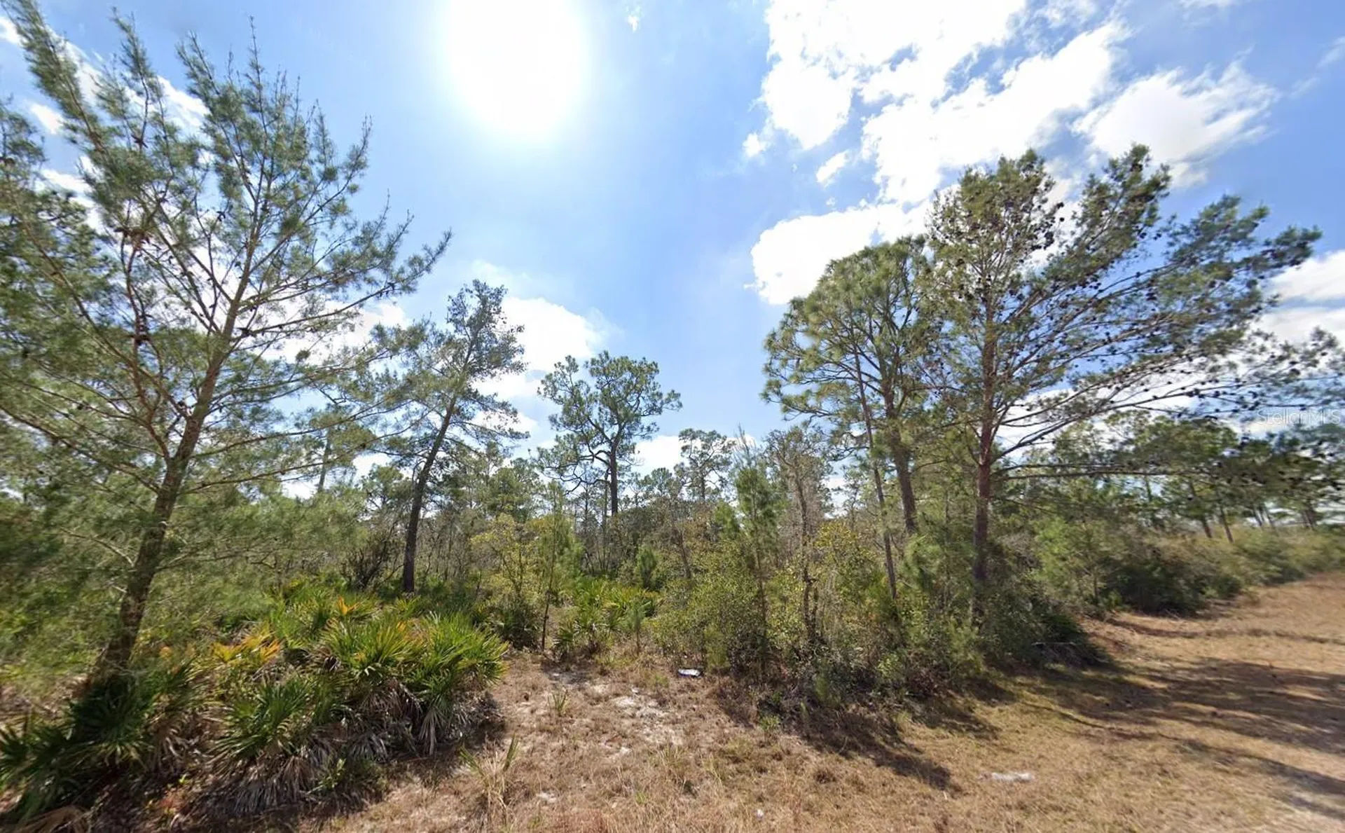 3049 Cedar Hill Avenue Lake Placid FL 33852