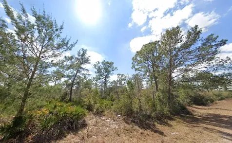 3049 Cedar Hill Avenue Lake Placid FL 33852