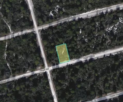 3049 Cedar Hill Avenue Lake Placid FL 33852