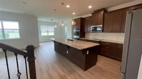 1767 Smarts Rule Street Kissimmee FL 34744
