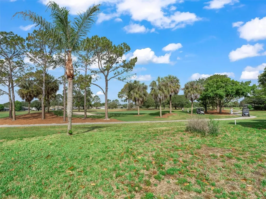 722 Camino Del Rey Drive The Villages FL 32159
