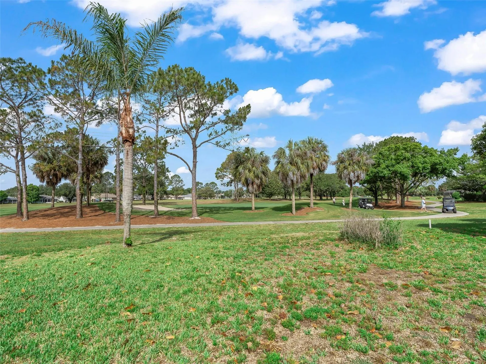 722 Camino Del Rey Drive The Villages FL 32159