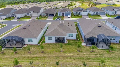 1384 Zesty Citrus Lane Minneola FL 34715