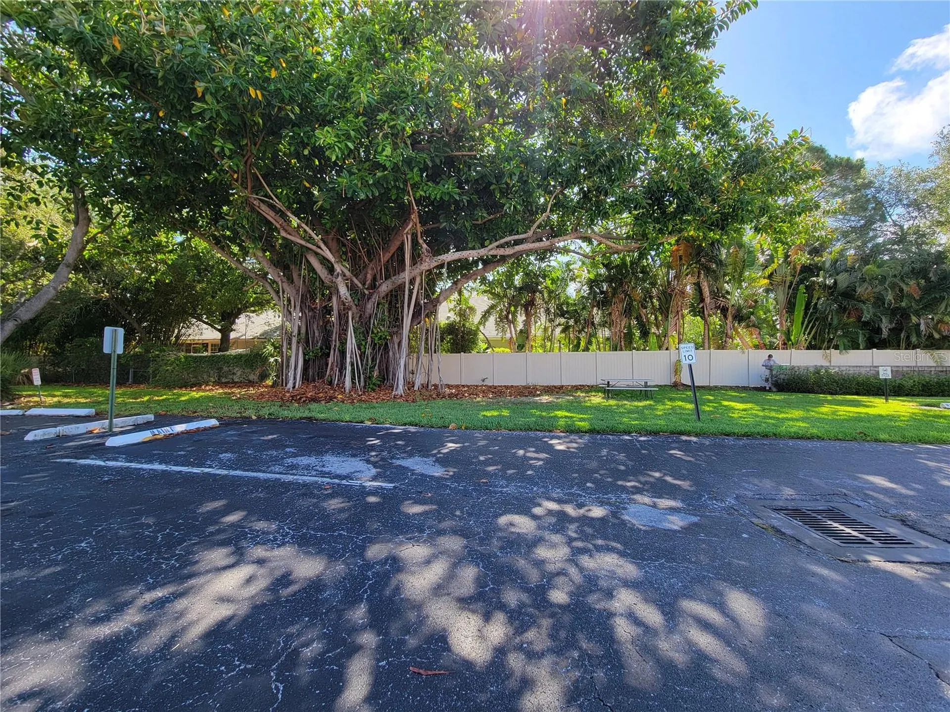4880 Locust St. NE St Petersburg FL 33703