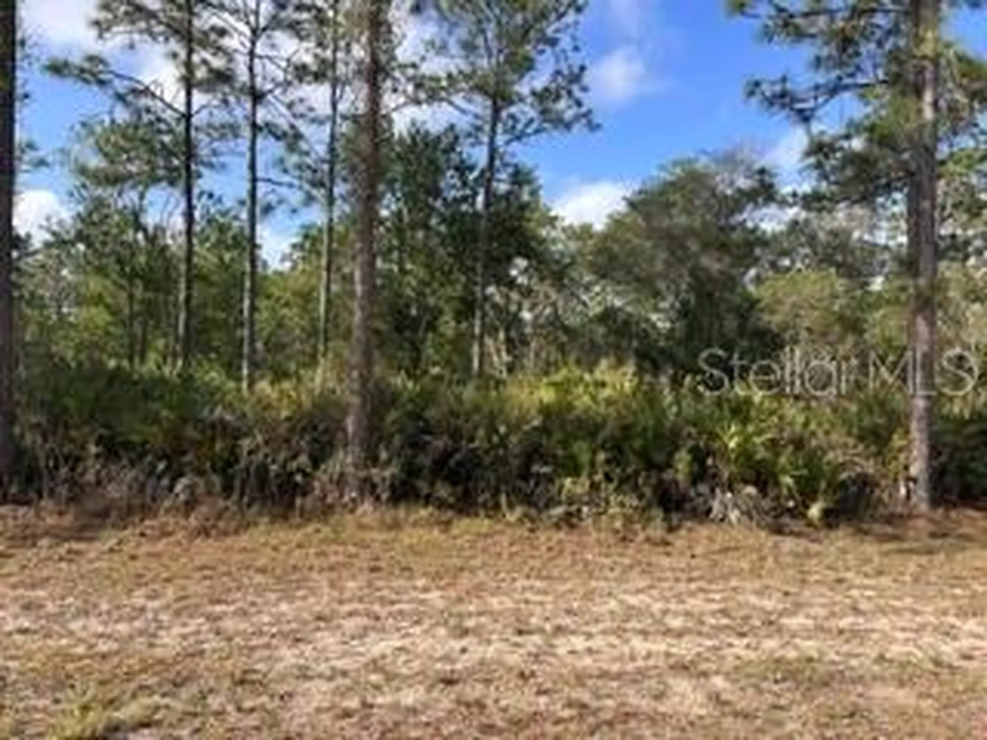 1013 (BLK 299 Lot 18) Alba Drive Indian Lake Estates FL 33855
