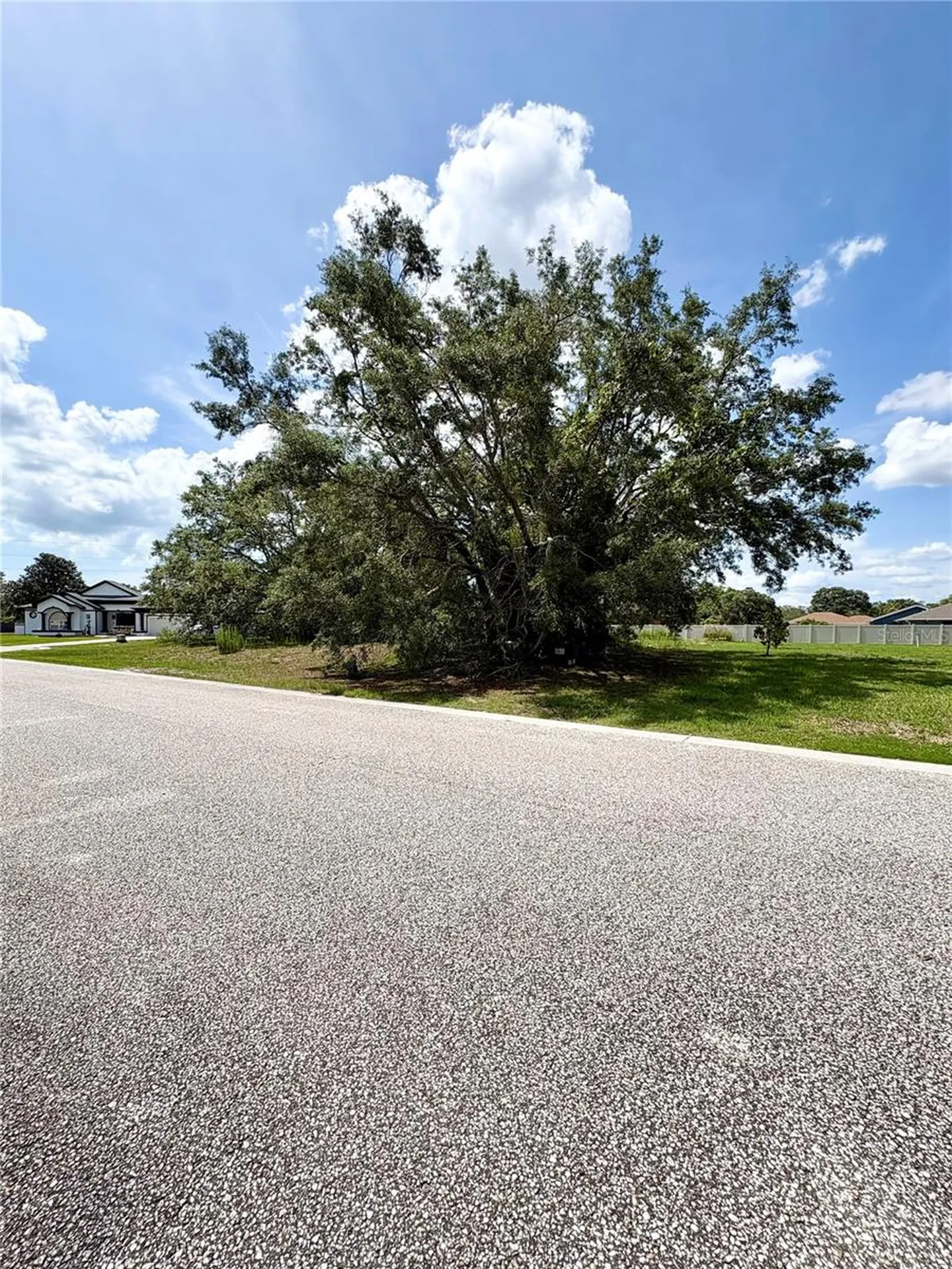 9925 Reindeer Court Spring Hill FL 34608