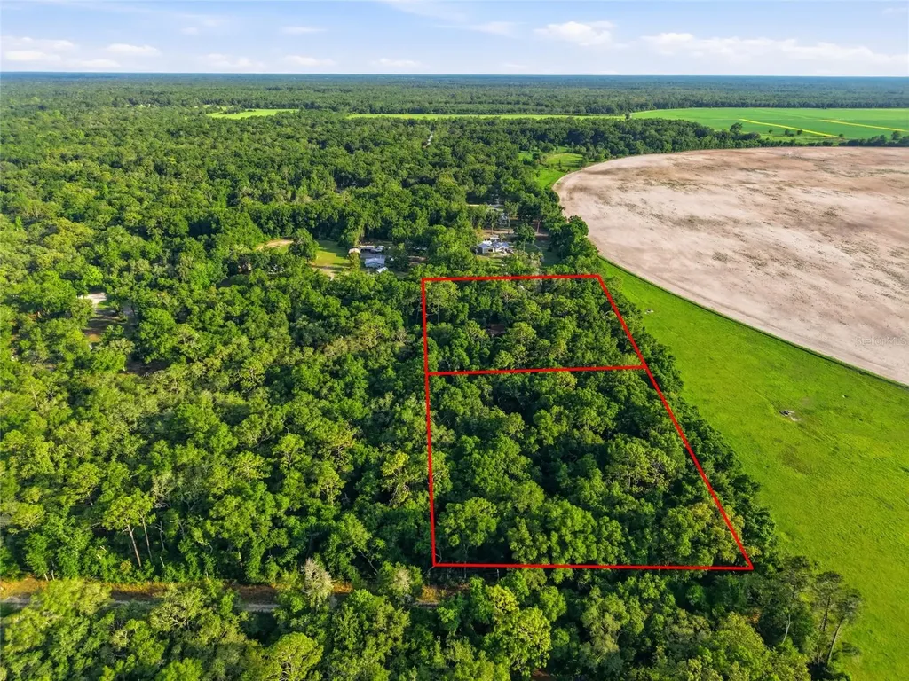 9291 NW 127th Place Chiefland FL 32626
