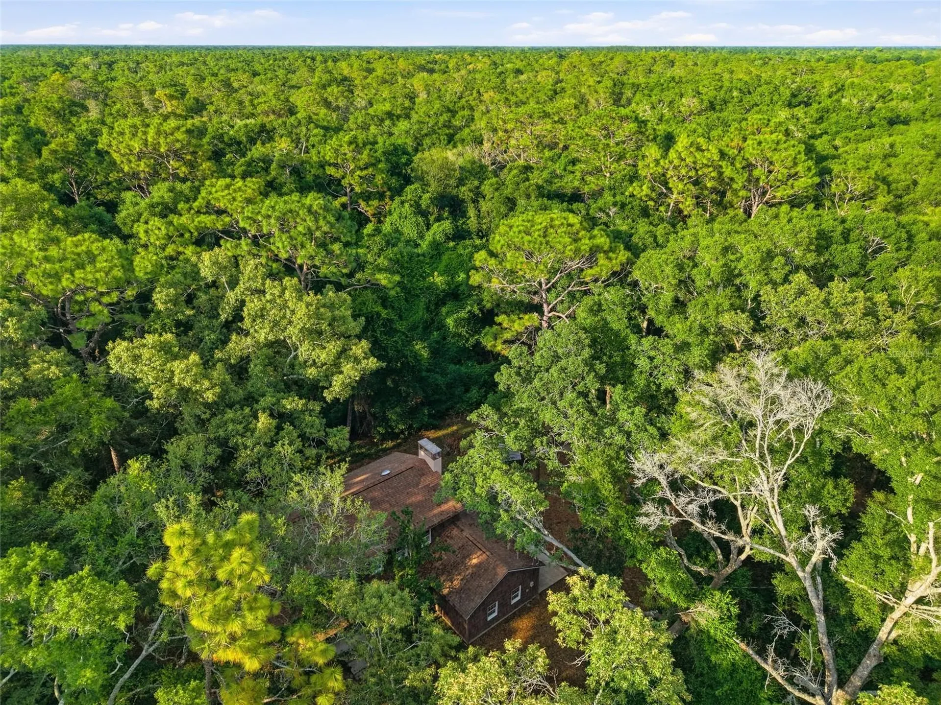 9291 NW 127th Place Chiefland FL 32626