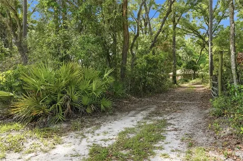 9291 NW 127th Place Chiefland FL 32626