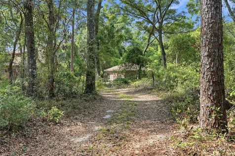 9291 NW 127th Place Chiefland FL 32626