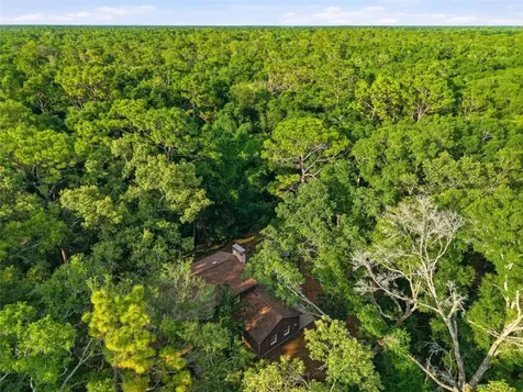 9291 NW 127th Place Chiefland FL 32626
