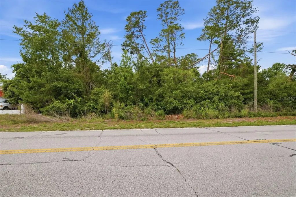 6011 Freeport Drive Spring Hill FL 34606