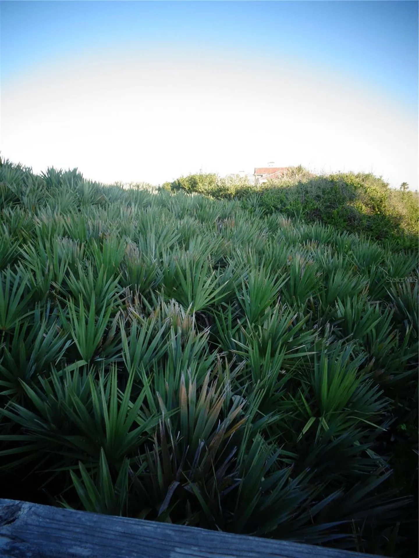 73 Calle Del Sur Palm Coast FL 32137