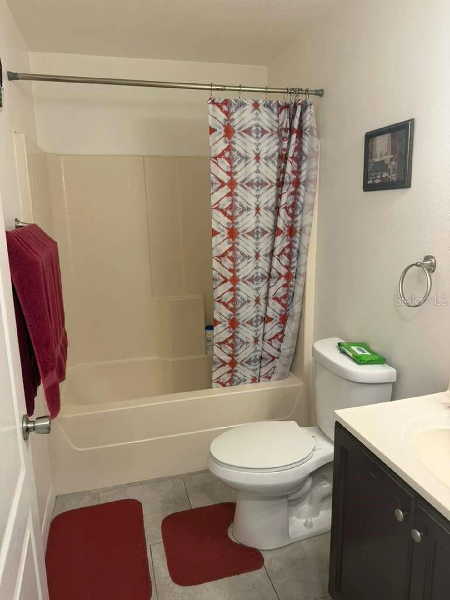 1702 Minnow Court Kissimmee FL 34759
